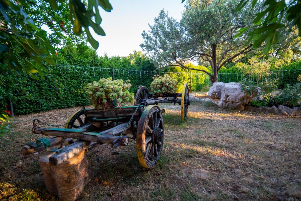 Holiday House Cvita Biograd Na Moru Zewnętrze zdjęcie