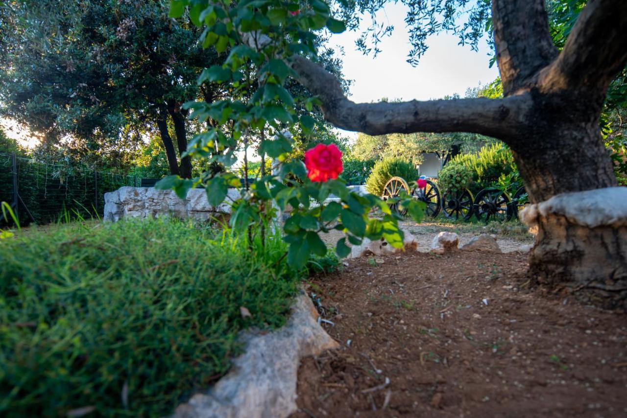 Holiday House Cvita Biograd Na Moru Zewnętrze zdjęcie