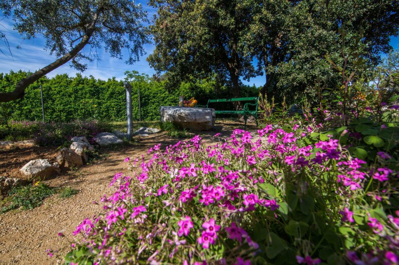 Holiday House Cvita Biograd Na Moru Zewnętrze zdjęcie